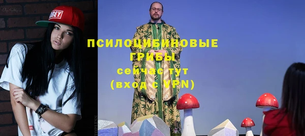 стаф Алзамай
