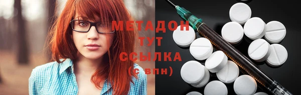 стаф Алзамай
