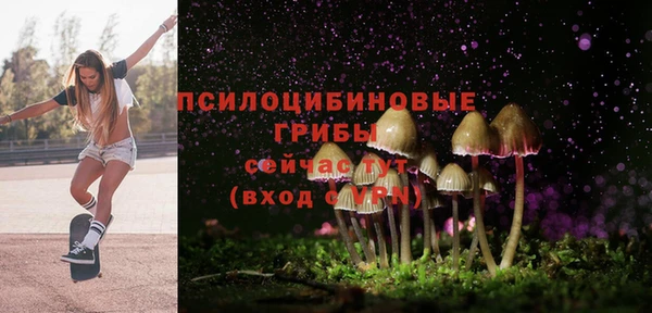 винт Алексеевка