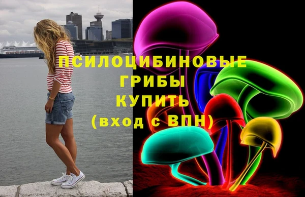 винт Алексеевка