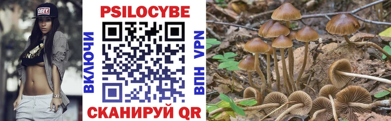 Галлюциногенные грибы мухоморы Ачхой-Мартан